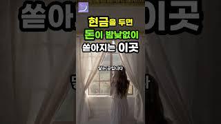 현금 미친듯 쏟아지게 하는 돈복 재물운이 좋아지는방법 #재물복 #풍수인테리어 #풍수 #재물운 #shorts