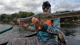 Epic Roanoke River Fishing: Chasing Bass & Striper Legends