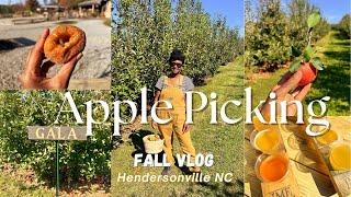 Apple Picking at Jeter Mountain Farm/ NC Mountains/ Hendersonville NC/ Apple Cider/ Fall Vlog/ Fall