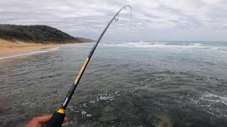 SHAD GALORE! Fishing South Coast! Durban