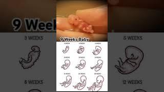 9 week baby movement #baby #movement