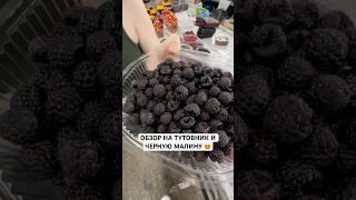 Обзор на тутовник, черную малину, ежемалину и красную малину ️
