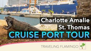  What to do in Charlotte Amalie St. Thomas Cruise Port! - Crown Bay Cruise Port Review