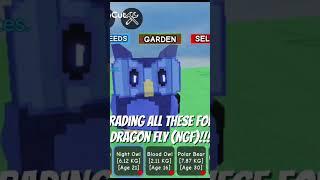 grow a garden trading for dragonfly NGF #growagarden #trading #viral #fyp