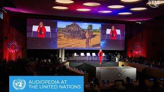 Felicitas Heyne at UN SDG Digital: Audiopedia's Vision for Gender Equality