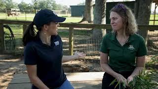 The Global Wildlife Center PKG 2 (NOLANOW)