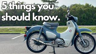 NEW Super Cub - What you should know before you buy !