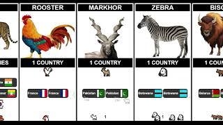  Discover the countries that share the same national animal! 