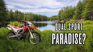 CRF250L|Dual Sport Paradise? Riding Muskoka