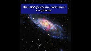 Сонник: умершие, могилы, кладбища во снах. Сны, которых стоит не бояться, а понимать. Толкование