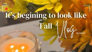 Fall simple decors•TraderJoe’s Shopping• Let’s make Fall Syrup together & more 