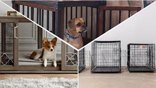 Top 5 Best Dog Crates of 2024: Reviews and Recommendations