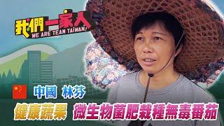 「有機菌肥」培育無毒番茄 廣東新住民成台灣創業新女力