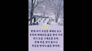 #중론# #김이현 定慧#禪어록,#참선 ,#선불교,#간화선 ,#명상,#수행,#수행#자신과의 만남,