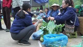 Harvest cauliflower and tomatoes to sell at the market, cook baby squash