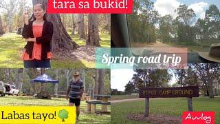 vlog: Spring season, nature lover, Mt Fox | Marjorie Pitson