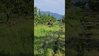 고장난 트랙터를 그리워하며...이제는 경운기의 삶을...