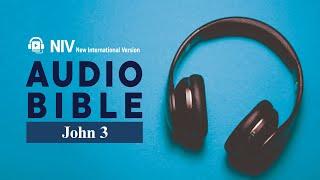 John 3 NIV AUDIO BIBLE (ENG)