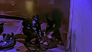 Police search for attackers who allegedly beat and robbed off-duty NYPD officer in the Bronx