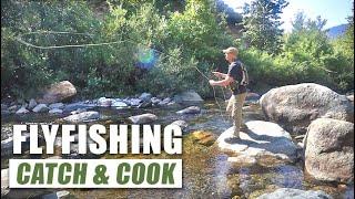 Fly Fishing | Trout Tacos | WILD Blackberry Pancakes | Boondock Camp!