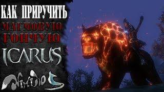 Icarus online(RU). Как приручить...#9 - Магмовая гончая. Высокогорье Хаканас