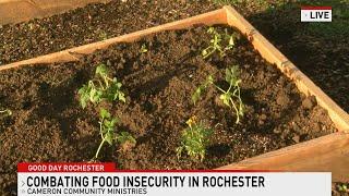 ARC Rochester 5-28-25 (Food Not Bombs)