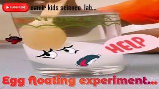 egg floating experiment #egg #science #experiments #technology  #shorts