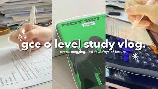 study vlog: the last few days of gce o level  | singapore