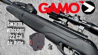 Best Budget Air Rifle: Gamo Swarm Whisper