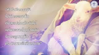 คริสตจักรฟาร์มสัมพันธกิจ ถ่ายทอดสดการนมัสการพระเจ้า วันอาทิตย์ที่ 27 พฤศจิกายน 2022