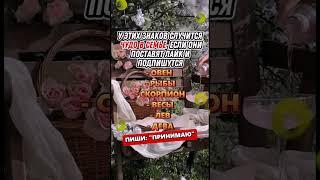 Знаки зодиака похожие друг на друга #гороскоп #знакизодиака #астрология