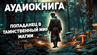 Аудиокнига. - фэнтези попаданец. - АУДИОКНИГА ПОЛНОСТЬЮ В 2Х ЧАСТЯХ