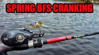 Spring Crankbait Fishing with Megabass Griffon SR-X BFS Style