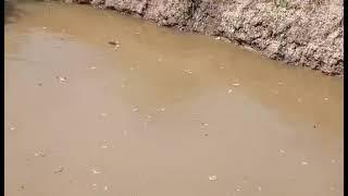 IRRIGATIONSYTEM BY SMG MODERN PLUMBER#boostproduction