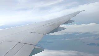 Vacation | Magic Vine # 41