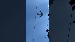What you always see when you live near an airport 