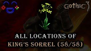 King's Sorrel Locations - Gothic 3