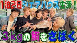 B&ZAI【シェアハウスで24時間共同生活～その4】3キロの鯛をさばく！