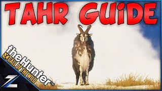 Tahr Grind Guide - How I Spawned a GO Tahr AFTER The Update!