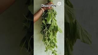  Kumro Shag | Boitalu Sago |#shorts #youtubeshorts #viral