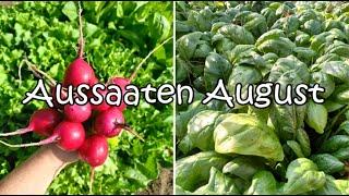 Aussaaten August - 12 Gemüse, die ihr jetzt noch säen könnt