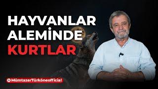 Kurt Sembolü Kültürümüze Nasıl Girdi? | Prof. Dr. Mümtaz’er Türköne