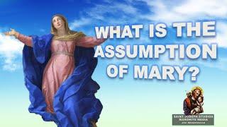 What is the Assumption of Mary? #assumptionofmary #dormition #blessedvirginmary #august15  #catholic