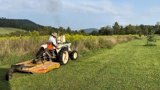 Brush mowing a field