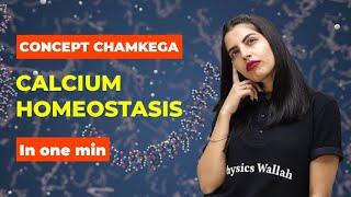 #ConceptChamkega | Calcium Homeostasis | Biology Concept For NEET | Physics Wallah #Shorts