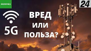 5G: кто такие радиофобы и почему они боятся вышек сотовой связи | Экологика