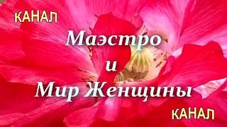 Трейлер Канала - Маэстро и мир женщины