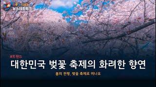 대한민국 벚꽃 축제의 화려한 향연 | 봄의 전령과 함께하는 낭만 여행