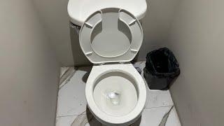 290. 2010s Cato Jazmin Toilet at an Event Venue.