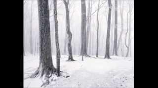 M.Bukinik - Concert Etude #4 in f minor For Cello